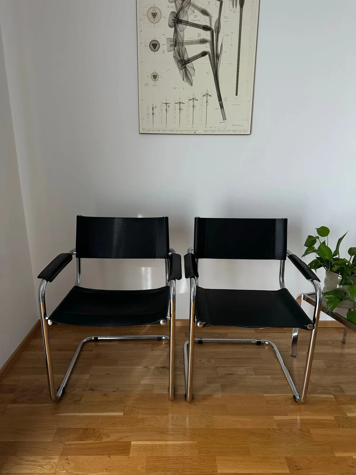 Freischwinger-Paar mit Armlehnen – Schwarz – Bauhaus Stil – Foto 1 von 18